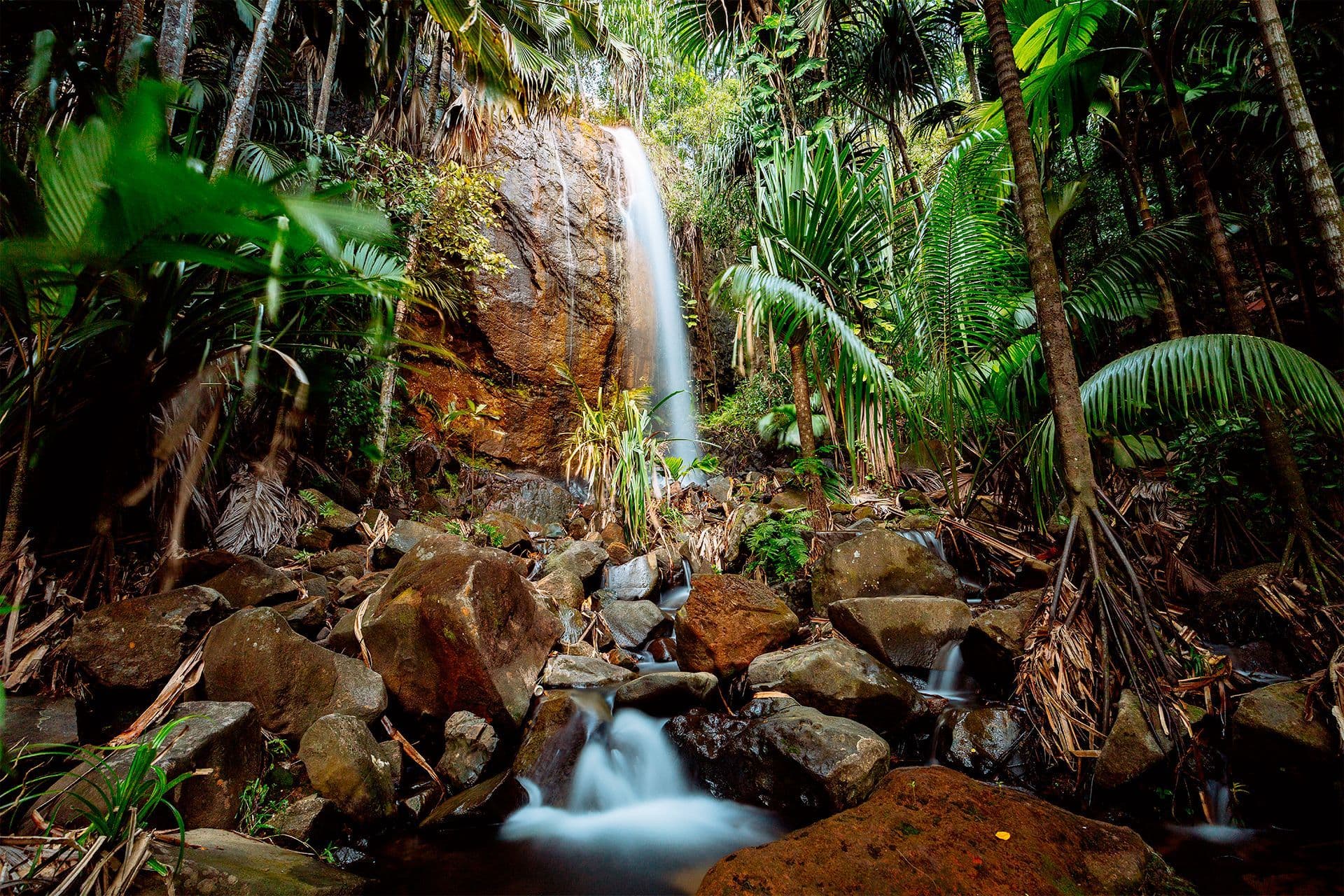 Vallée de Mai
